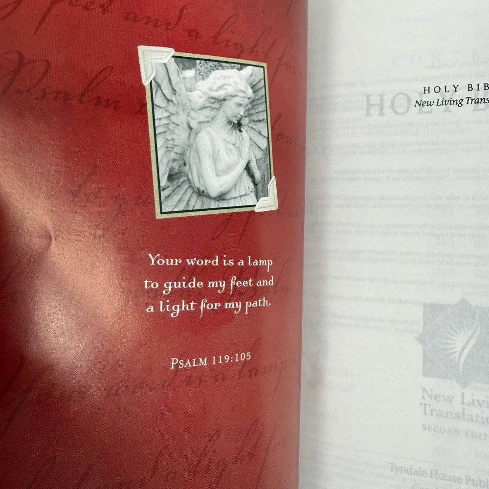 NLT Holy Bible Large‎ Print Compact Edition Brown Tan LeatherLike 9781414337593